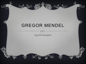 Gregor Mendel - 17-107