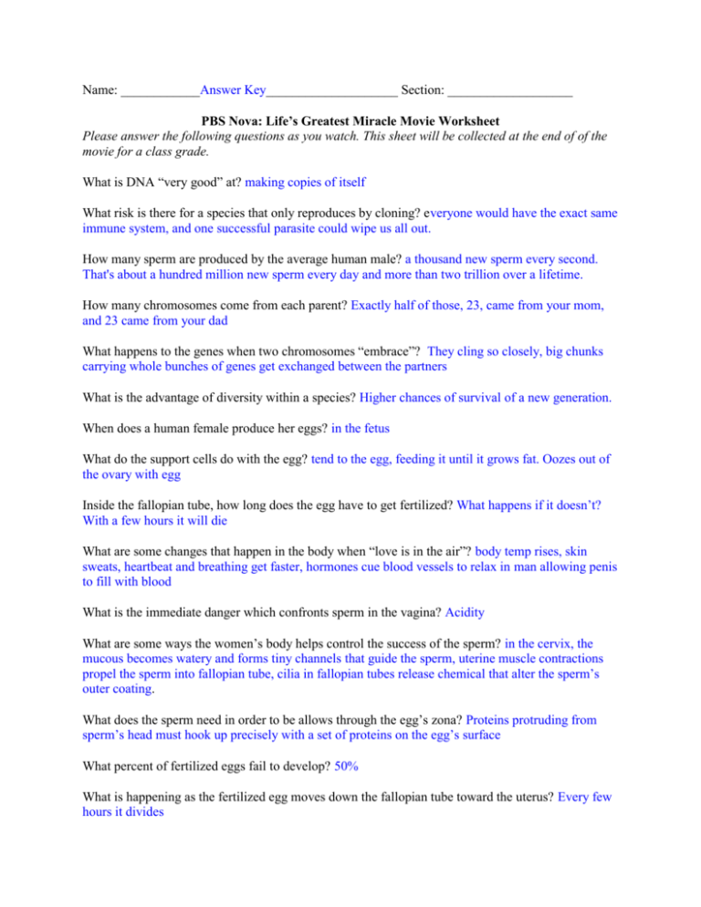 Life s Greatest Miracle Worksheet Answers Studying Worksheets