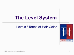 Chp 16 Level System