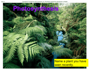 Photosynthesis - RHS Life Sciences