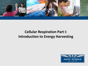Cell Respiration - Introduction PPT