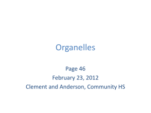 Organelles - ACT-ESL