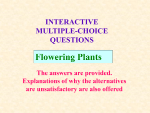 Interactive questions. Test 5: Flowering plants