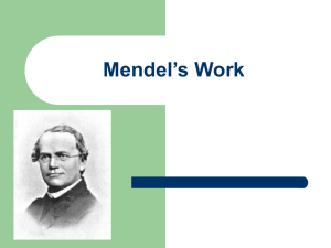 Mendel's Work