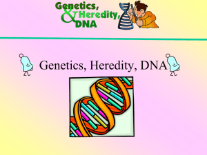 Genetics ppt. - Miss. Browning's Science Class