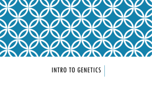 Intro to genetics