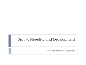 Mendel and the Gene Idea and The Chromosomal Basis of Inheritance