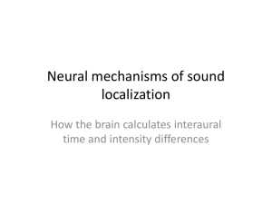 PowerPoint Presentation - Neural mechanisms of sound localization