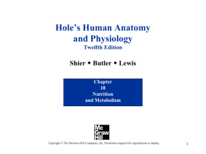 PowerPoint to accompany Hole's Human Anatomy and Physiology