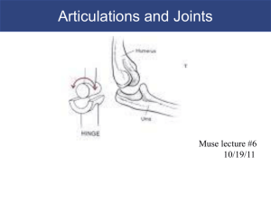 Joints and Articulations
