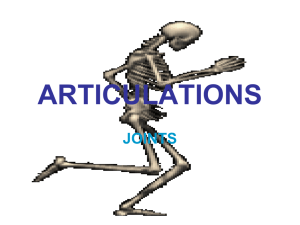 ARTICULATIONS - Doctor Jade Main