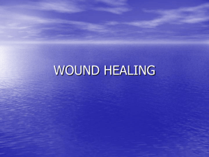 Wound_Healing_2012