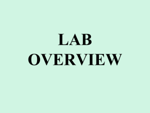 lab overview how to read a graduated cylinder?