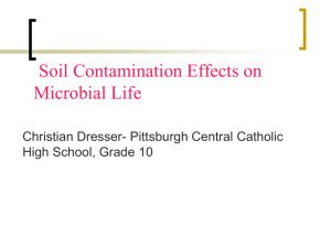 soil contamination effects on microbes DRESSER