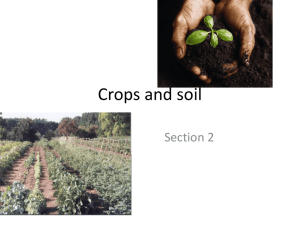 Crops and soil