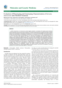 Evaluation of Phenotyping and Genotyping Characterization of Serratia marcescens after Biofield Treatment