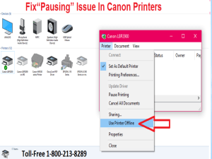 How To Fix Pausing Issue In Canon Printers? 1-800-213-8289 