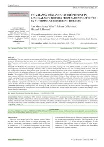 CD1a HAM56 CD68 s100 in a bullous autoimmune skin diseases