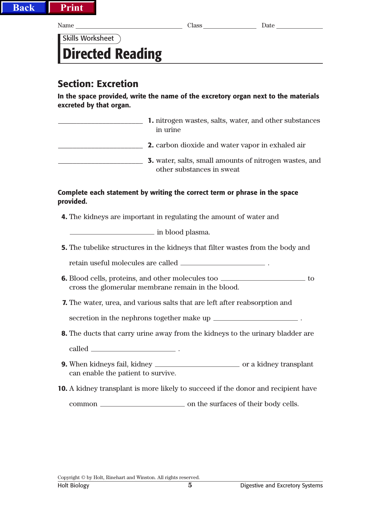 Human Urinary Tract And Kidney Worksheet Answers