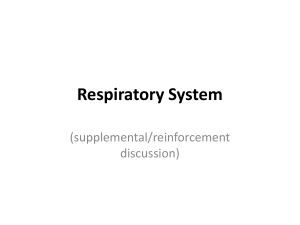 Respiratory System2