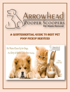 A Quintessential Guide to Best Pet Poop Pickup Services