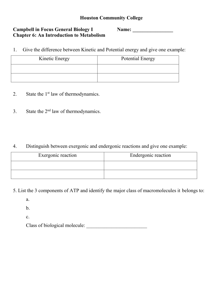 Chapter 6 An Introduction To Metabolism Worksheet Answers
