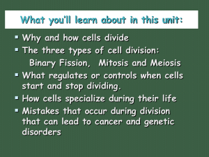 6.1 cell division