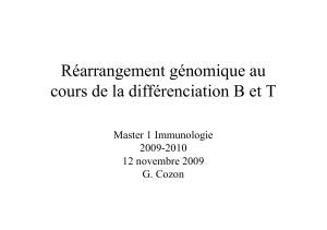 11- Rearrangement Ig M1 2009