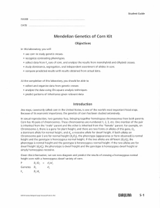 Student Guide for MendelianGenetics of Corn kit