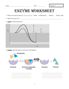 unit-1---enzyme-worksheet