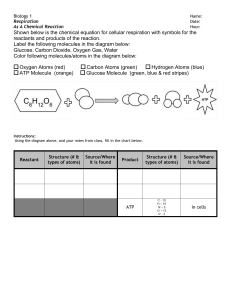 Respiration - As A Chemical Reaction Worksheet