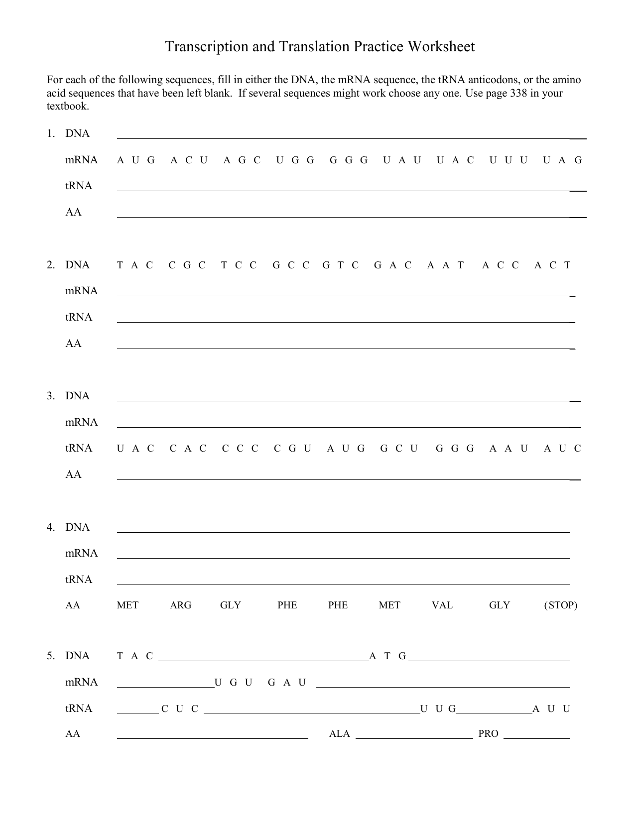 Transcription and translation practice worksheet1 (1)