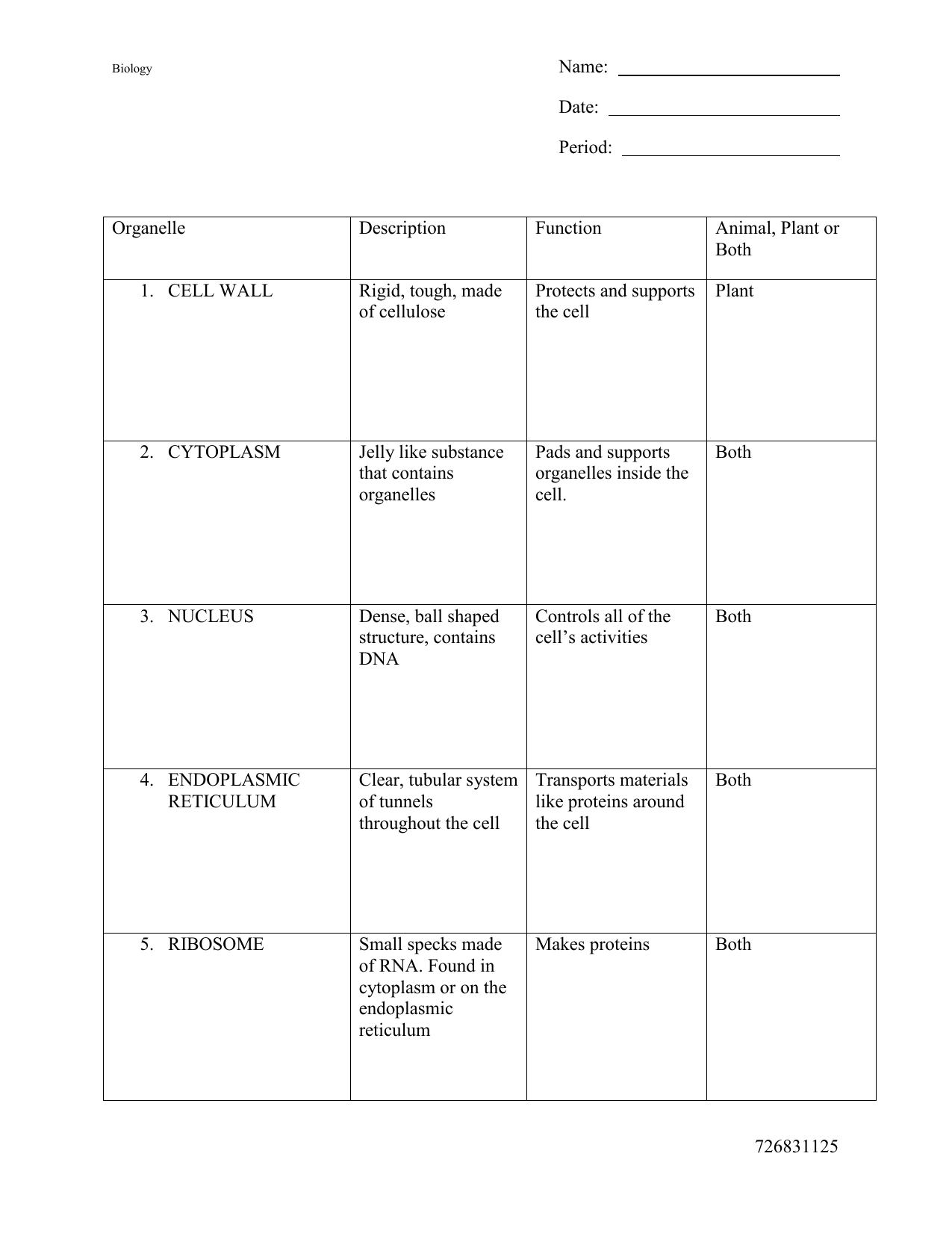 Cell Organelles Worksheet KEY Pertaining To Cell Organelles Worksheet Answer Key