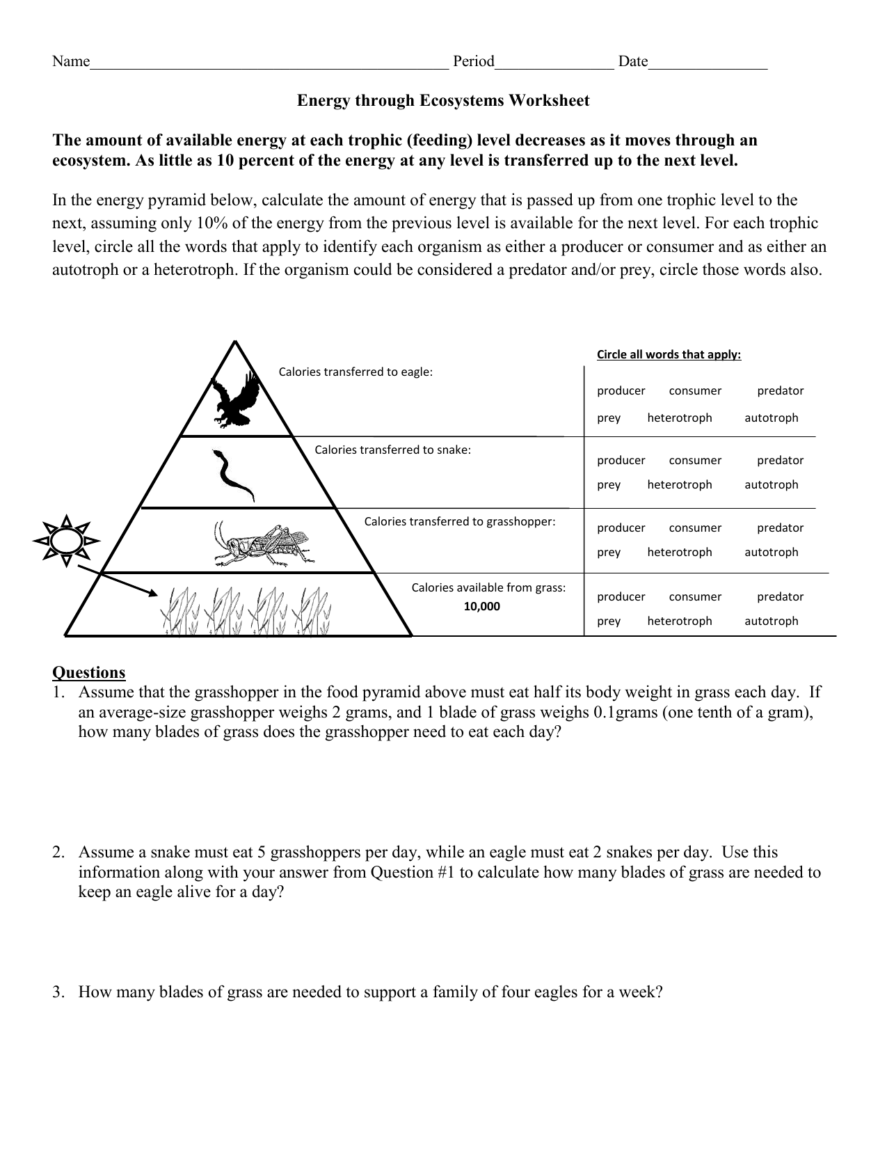 energy through an ecosystem worksheet Regarding Ecological Pyramids Worksheet Answers