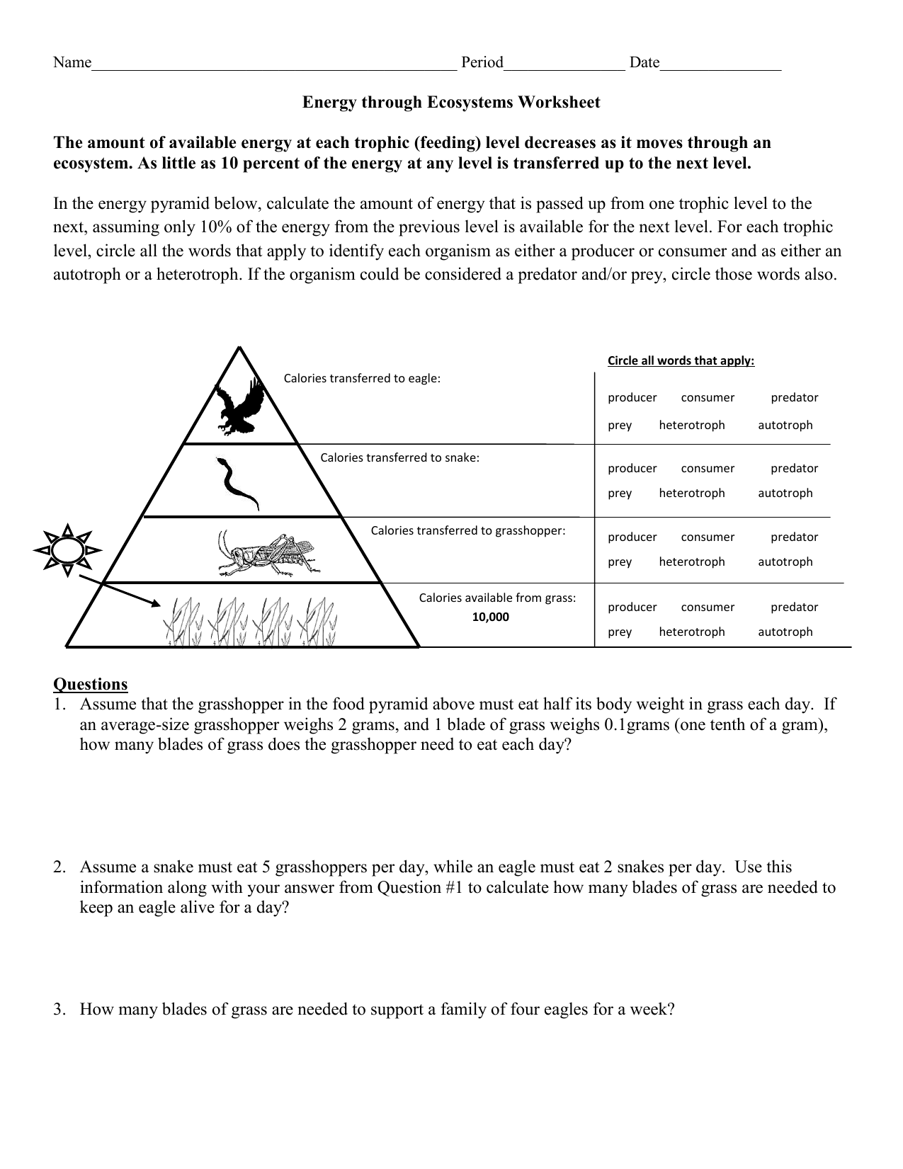 energy through an ecosystem worksheet