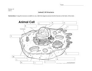 Parts of the Cell