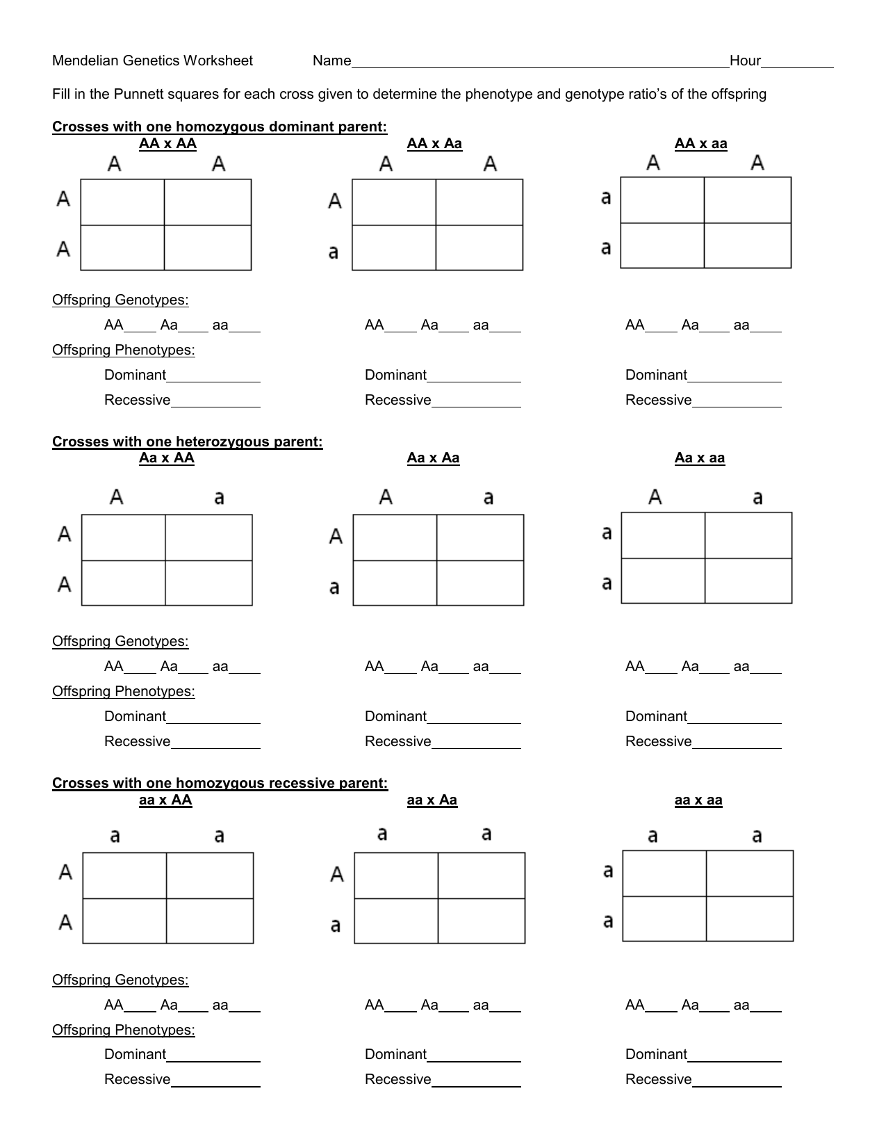 Free Printable Punnett Square Worksheet With Answer Key Middle School