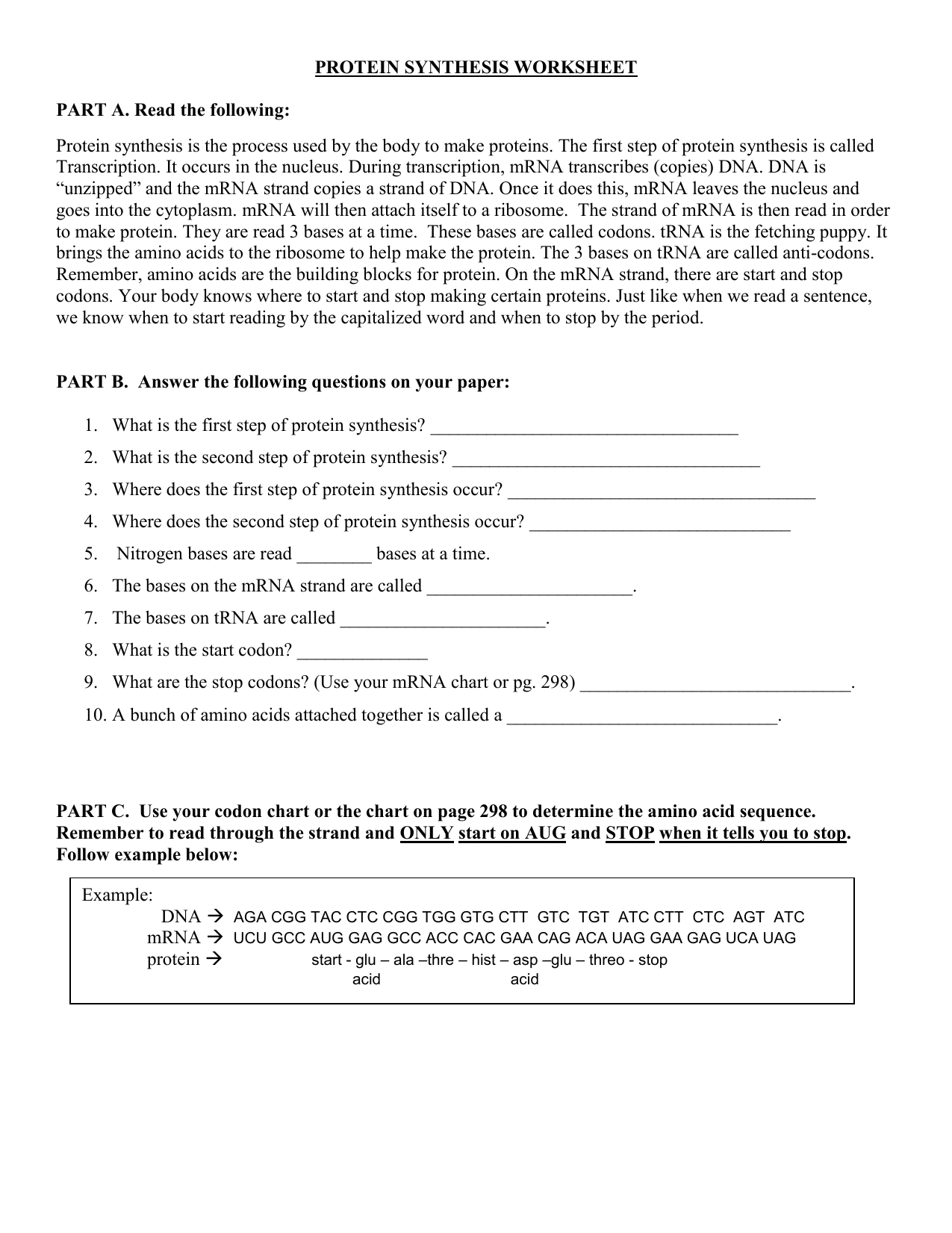 43-protein-synthesis-worksheet-answers-key-worksheet-master