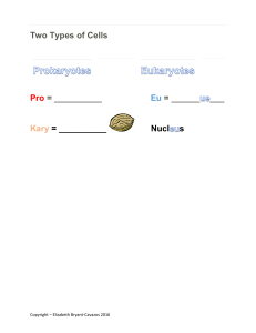 Prokaryote Eukaryote vocabulary builder
