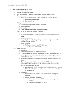 Animal Law: Defining 'Animal' & Legal Cases