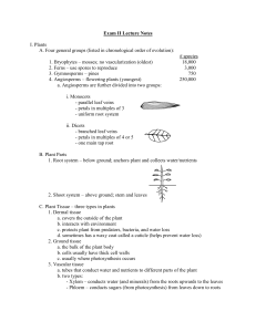 Bio 7 Exam II Lecture Notes pt1