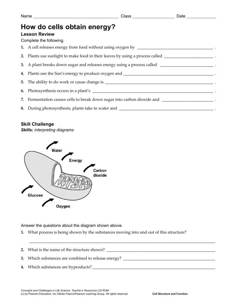 Cellular Respiration general worksheet