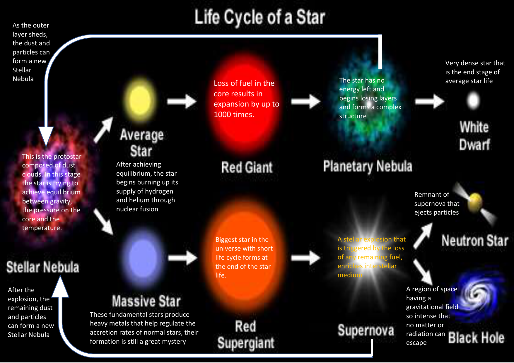 life cycle of a star essay