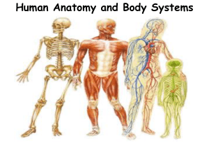 Human-Body-Systems