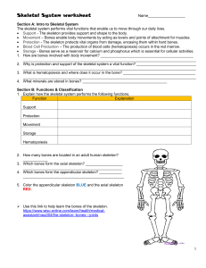 skeletal-worksheet