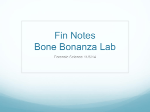 11-6 fs bone bonanza lab (2)