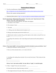 Photosynthesis Webquest 2018