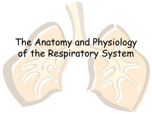 1. respiratorysystem