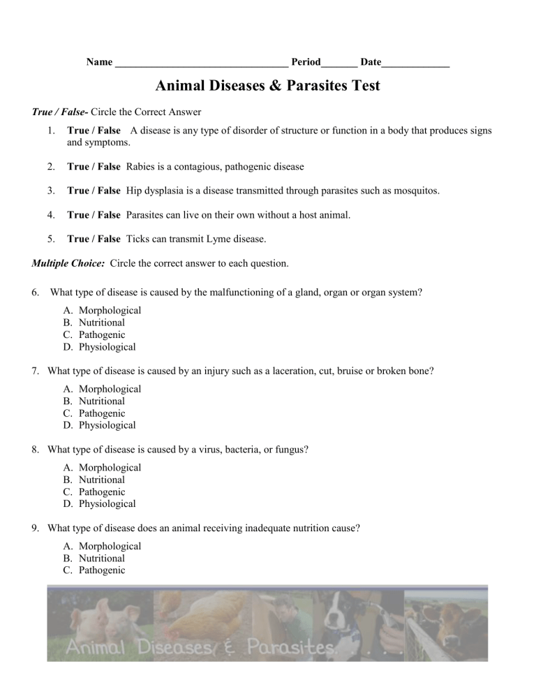 Animal Disease & Parasite Test (high school)