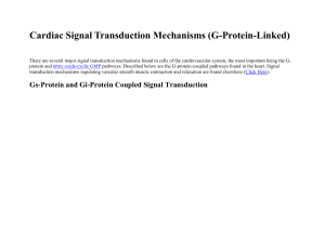 Signal Transduction Mechanisms